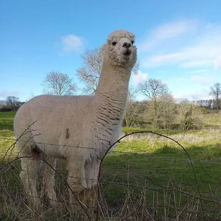Normandieheritage14 Moulin De La Bretonniere - Omaha