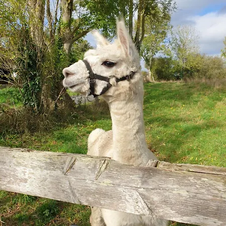 Normandieheritage14 Moulin De La Bretonniere - Omaha