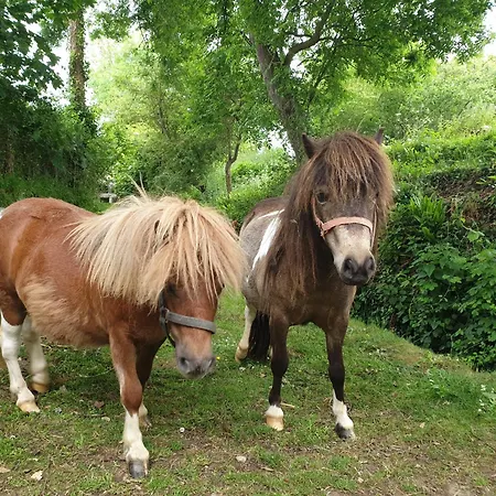 Alojamento de Acomodação e Pequeno-almoço Normandieheritage14 Moulin De La Bretonniere - Omaha