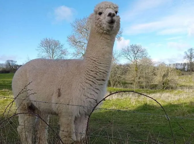 Normandieheritage14 Moulin De La Bretonniere - Omaha
