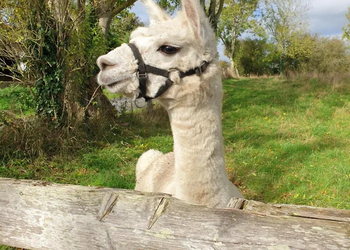 Normandieheritage14 Moulin De La Bretonniere - Omaha