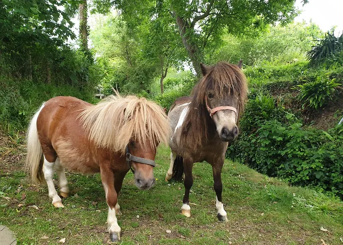 Bed and Breakfast Normandieheritage14 Moulin De La Bretonniere - Omaha