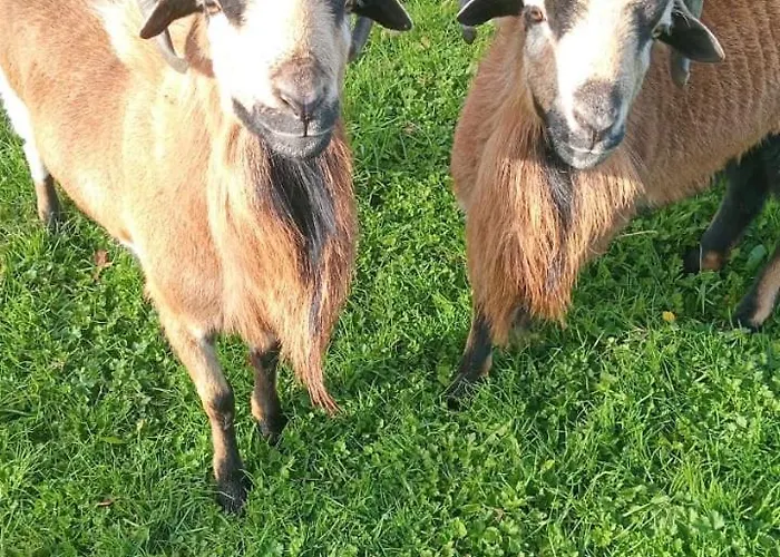 Normandieheritage14 Moulin De La Bretonniere - Omaha 4*